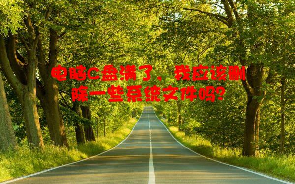 电脑C盘满了，我应该删除一些系统文件吗？