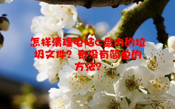 怎样清理电脑C盘内的垃圾文件？有没有简单的方法？