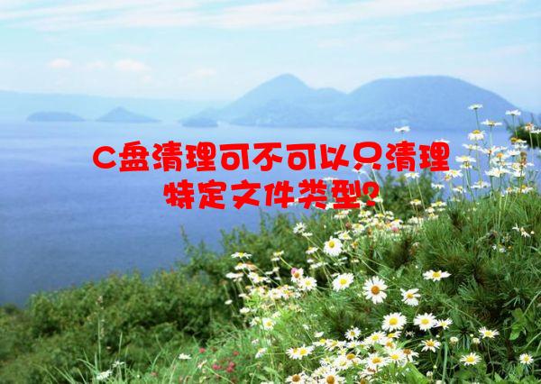 C盘清理可不可以只清理特定文件类型？