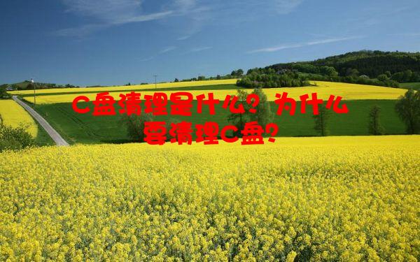 C盘清理是什么？为什么要清理C盘？