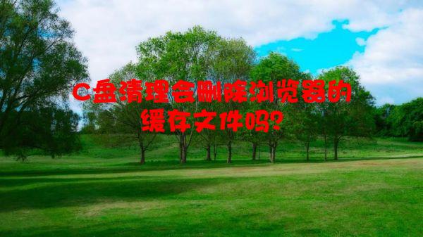 C盘清理会删除浏览器的缓存文件吗？