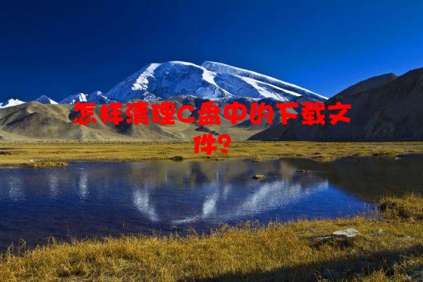 怎样清理C盘中的下载文件？