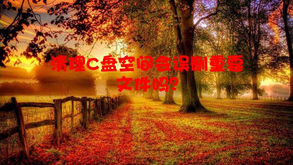 清理C盘空间会误删重要文件吗？