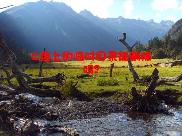 C盘上的临时目录能删除吗？