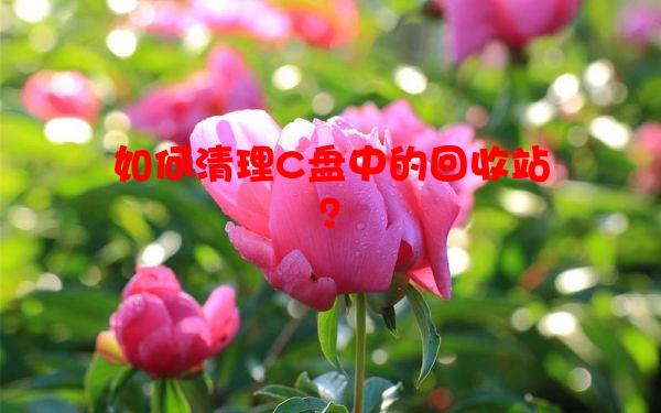 如何清理C盘中的回收站？