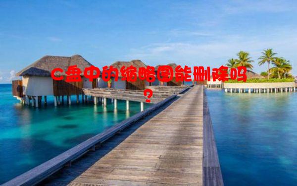 C盘中的缩略图能删除吗？