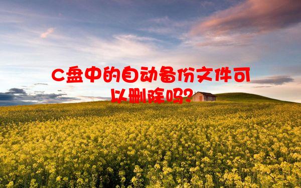 C盘中的自动备份文件可以删除吗？