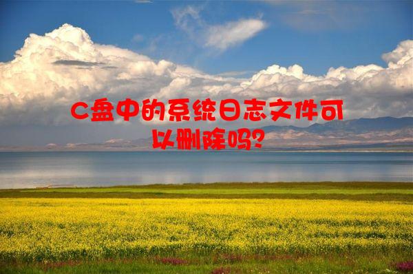 C盘中的系统日志文件可以删除吗？