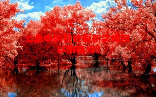 C盘中的系统更新文件可以删除吗？