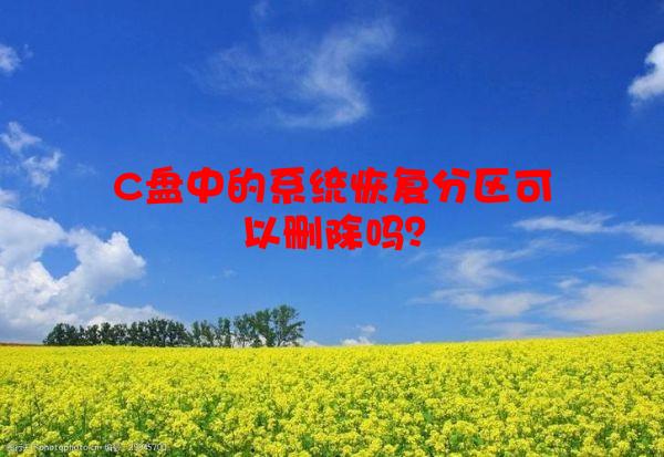 C盘中的系统恢复分区可以删除吗？