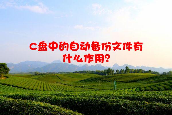 C盘中的自动备份文件有什么作用？