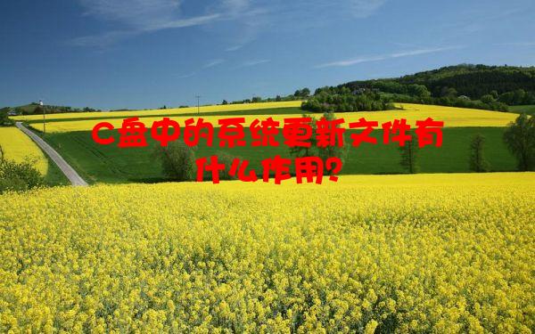 C盘中的系统更新文件有什么作用？