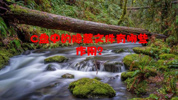 C盘中的隐藏文件有哪些作用？
