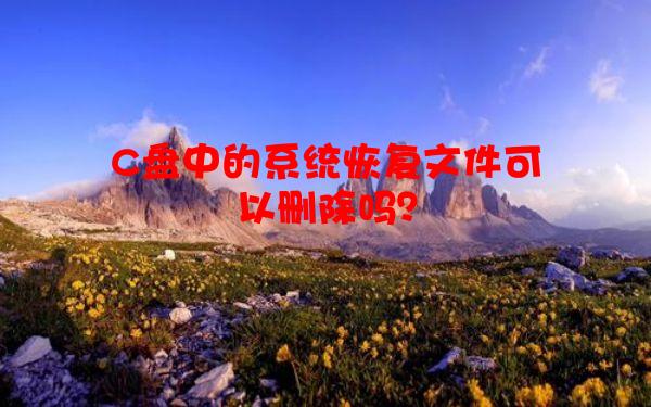C盘中的系统恢复文件可以删除吗？