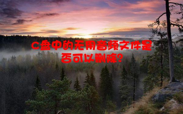 C盘中的无用音频文件是否可以删除？