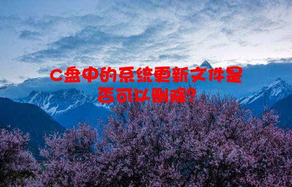 C盘中的系统更新文件是否可以删除？