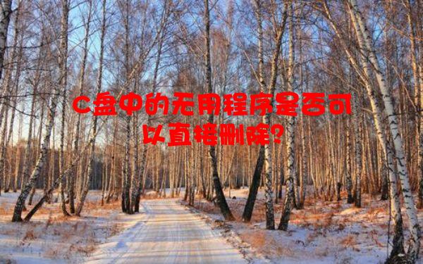 C盘中的无用程序是否可以直接删除？