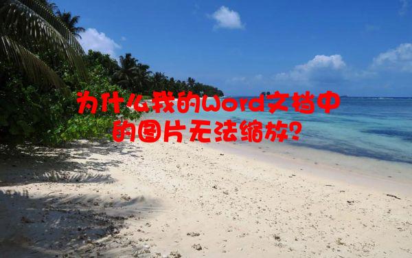 为什么我的Word文档中的图片无法缩放？