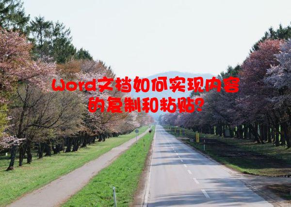 Word文档如何实现内容的复制和粘贴？