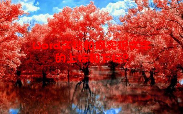 Word文档如何实现文字的上标和下标？