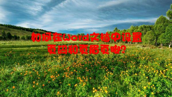 如何在Word文档中设置页码和页眉页脚？