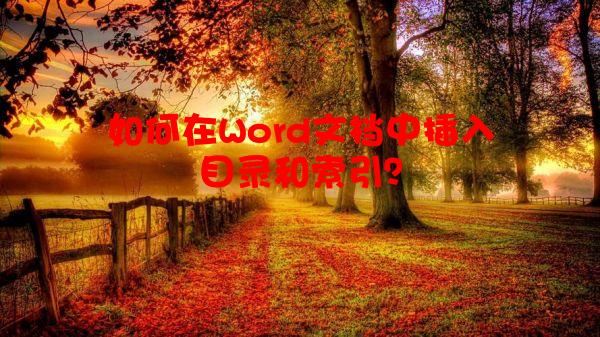 如何在Word文档中插入目录和索引？
