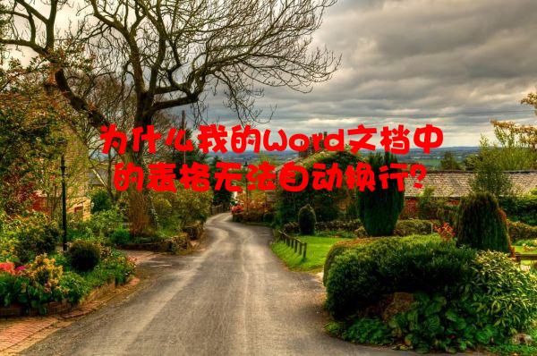 为什么我的Word文档中的表格无法自动换行？