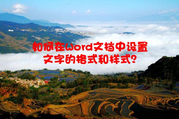 如何在Word文档中设置文字的格式和样式？