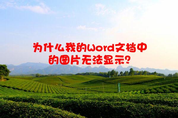 为什么我的Word文档中的图片无法显示？