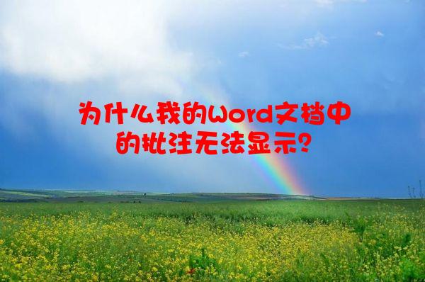 为什么我的Word文档中的批注无法显示？