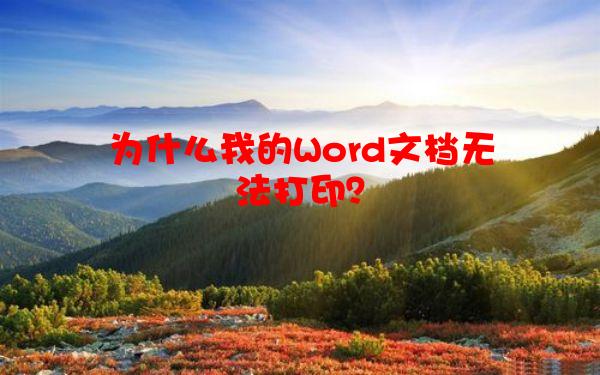为什么我的Word文档无法打印？