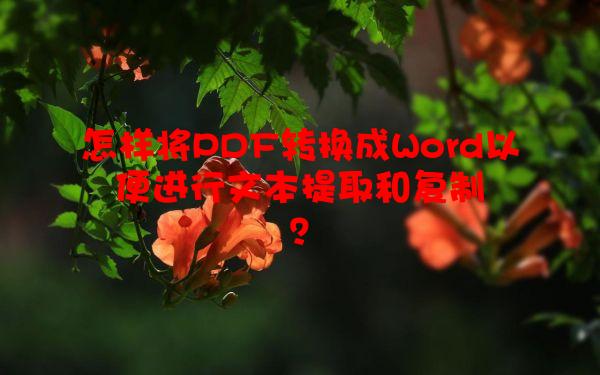 怎样将PDF转换成Word以便进行文本提取和复制？
