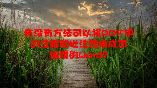 有没有方法可以将PDF中的注释和批注转换成可编辑的Word？