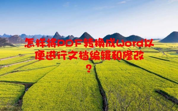 怎样将PDF转换成Word以便进行文档编辑和修改？