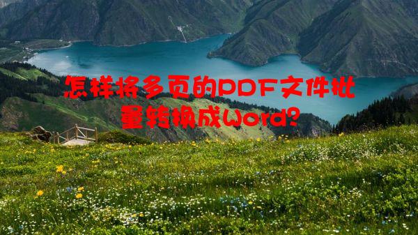 怎样将多页的PDF文件批量转换成Word？