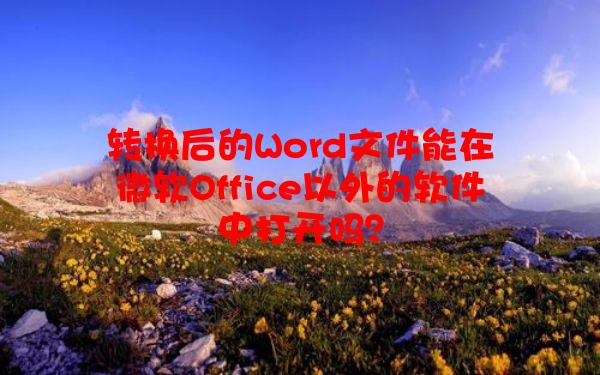转换后的Word文件能在微软Office以外的软件中打开吗？