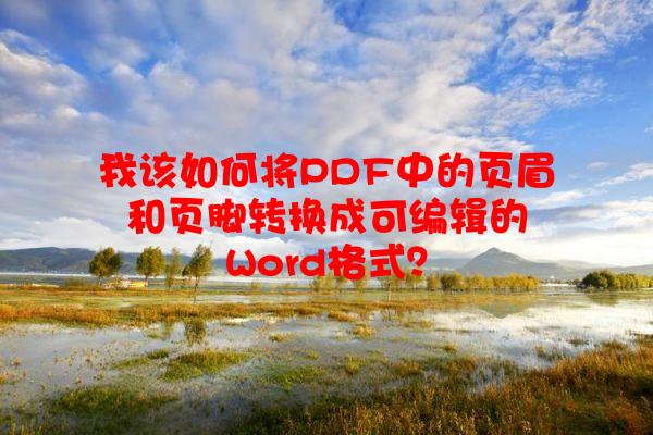 我该如何将PDF中的页眉和页脚转换成可编辑的Word格式？
