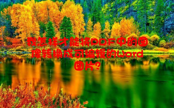 我怎样才能将PDF中的图像转换成可编辑的Word图片？