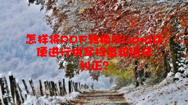 怎样将PDF转换成Word以便进行拼写检查和语法纠正？