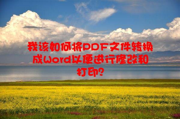 我该如何将PDF文件转换成Word以便进行修改和打印？