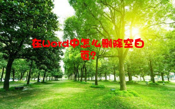 在Word中怎么删除空白页？