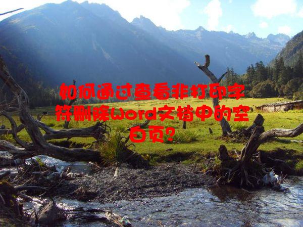 如何通过查看非打印字符删除Word文档中的空白页？