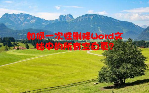 如何一次性删除Word文档中的所有空白页？