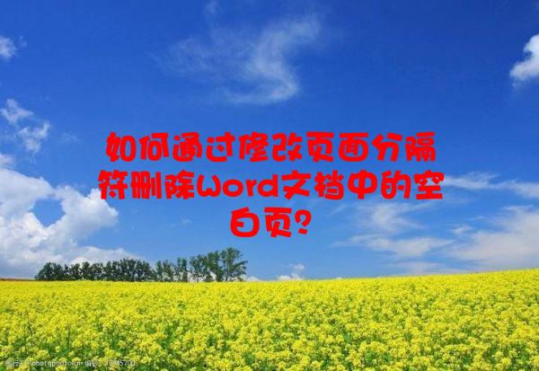 如何通过修改页面分隔符删除Word文档中的空白页？