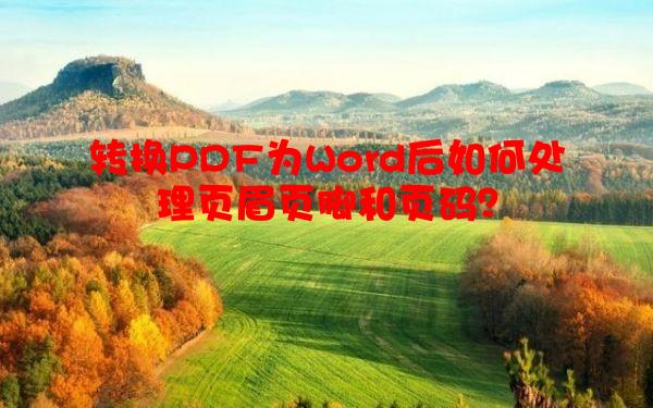 转换PDF为Word后如何处理页眉页脚和页码？