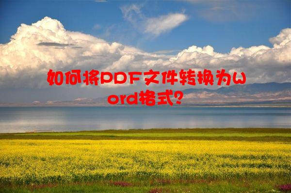 如何将PDF文件转换为Word格式？