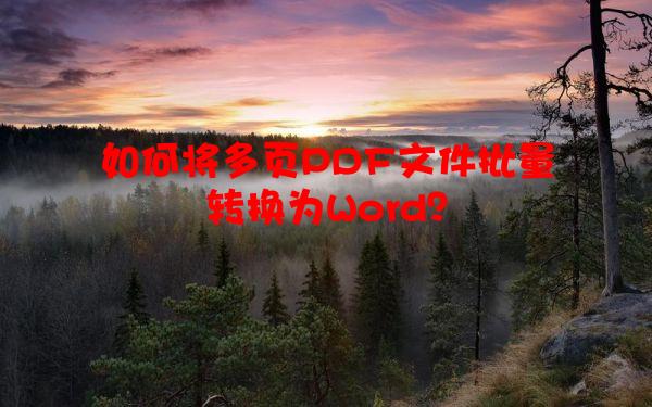 如何将多页PDF文件批量转换为Word？