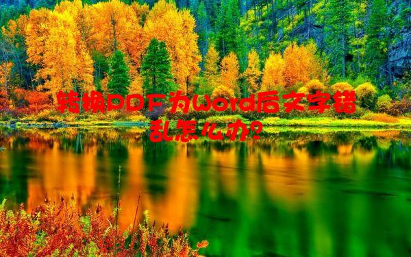 转换PDF为Word后文字错乱怎么办？