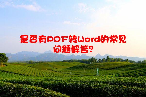 是否有PDF转Word的常见问题解答？