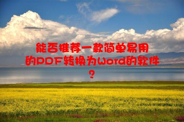 能否推荐一款简单易用的PDF转换为Word的软件？